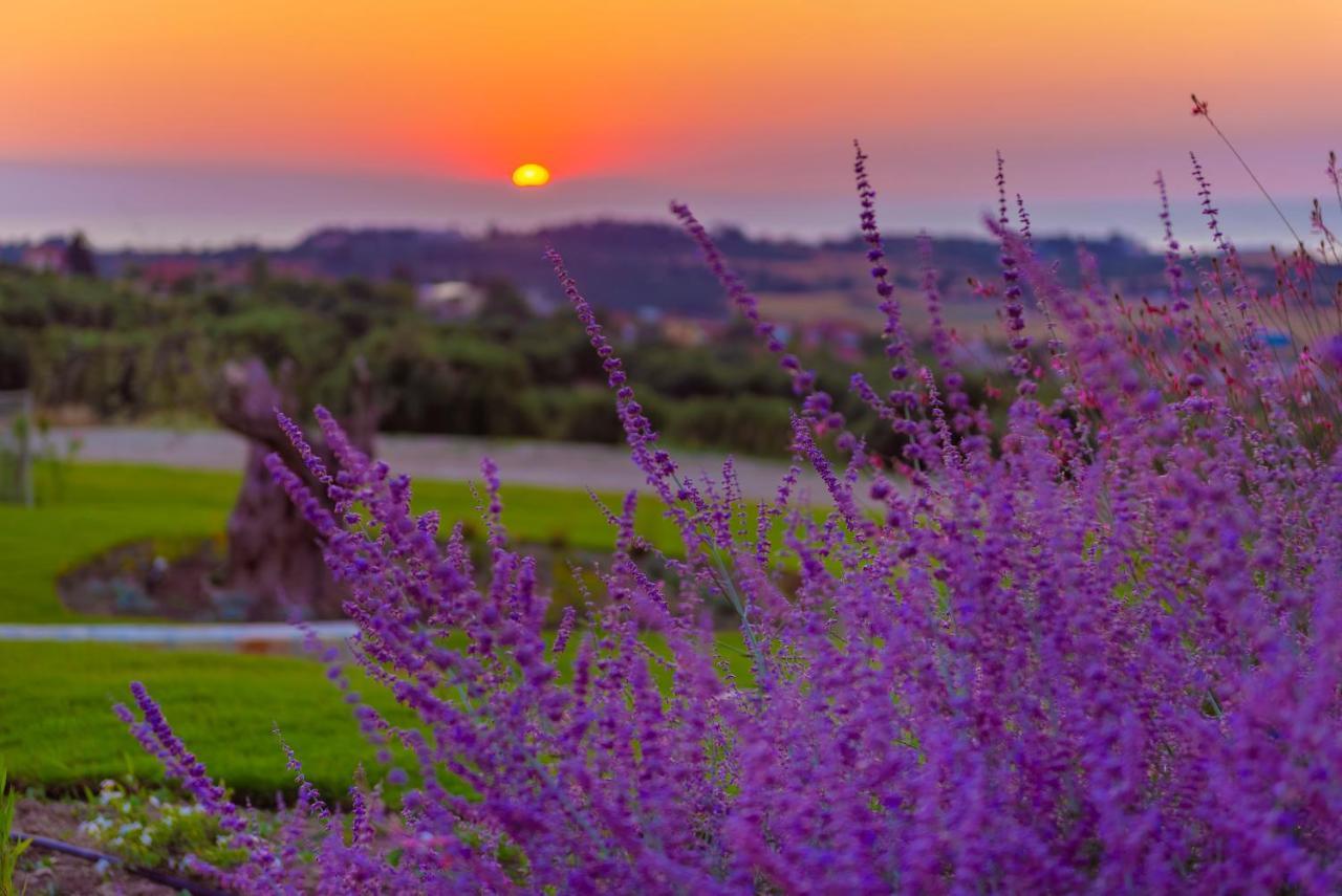 Mint Retreat Suites (Adults Only) Kalandra 외부 사진